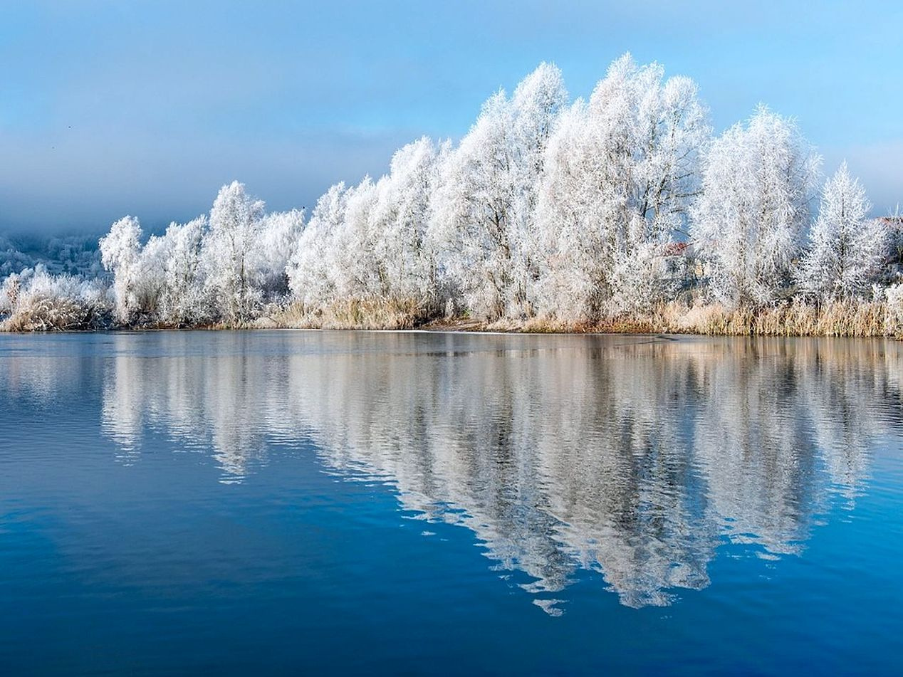 The same fishing spot across four seasons, from open water to solid ice